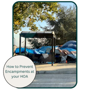 Graphic of homeless encampment in Los Angeles